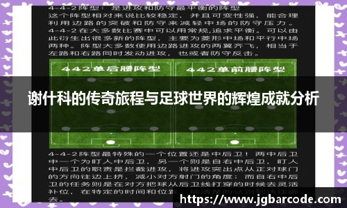 谢什科的传奇旅程与足球世界的辉煌成就分析